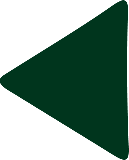 Black Triangle Vector